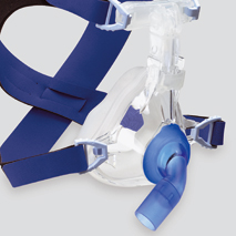 �����ڱ�����