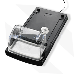 ����ΰ������������ʪ����